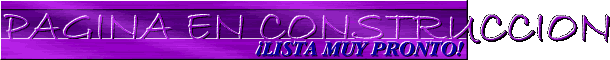 PAGINA EN CONSTRUCCION